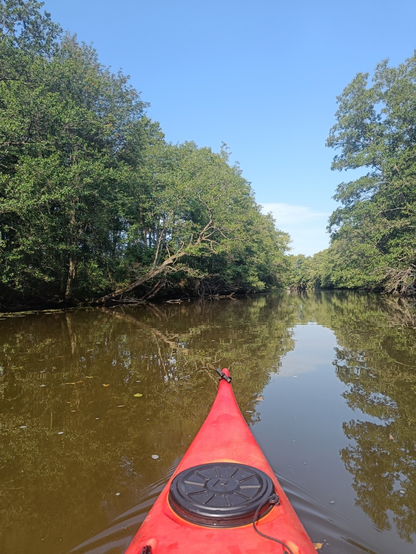 Kayaking on Siuntio river in Finland. It looks like Amazon.