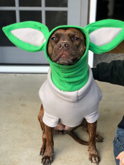 An adorable brindle brown, small pit bull dog with a brown nose and brown almond shaped eyes dressed in a home made baby yoda costume made of fleece. The costume has enormous green ears that stick out from her head. It has a soft green, wrinkled neck and a tan shirt. She is sitting on a porch outside infant of a door. You can see a woman's arm in a black sweatshirt  to the right of the dog resting her hand on the dog's back. 