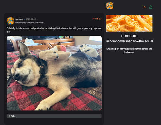 A dog lying on its back, relaxing and displaying its belly, with a cozy living room background.