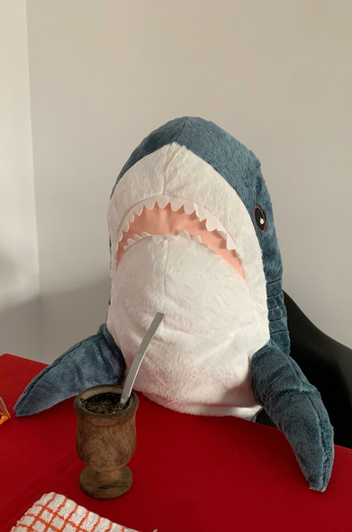 Its a Blåhaj, the IKEA shark, sitting on a table with his fins also on the table, looking very happy about to drink some Mate 