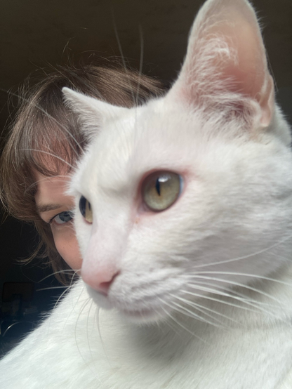 A photo of Jenny's face, with a white cat overlapping her gaze into the camera. The cat is taking up most of the space in the image - in a way that makes Jenny and the cat's face kind of blend together when viewed from a distance.