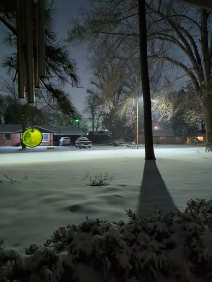 A snowy yard at night.