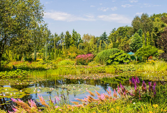 Gorgeous colorful garden with pond 