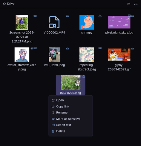 A screenshot of a file directory displaying various media files, including images and a video. Small icons appear on the images, identifying them as the image used for your profile or banner, a warning sign if no alt text has been entered, or the term "CC" if alt text has been added.