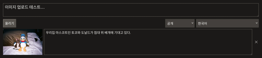 게시물 작성시 이미지를 첨부한 모습