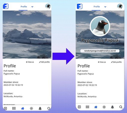 Phone in portrait showing profile views before and with version 1.5