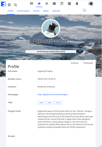 Mobile Profile Hybrid (Tablet) view in portrait orientation.