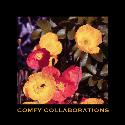 Poppies growing in a clump, given a bit of a film noir effect.