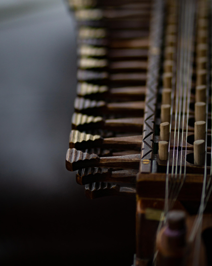 A close-up of the keybox and keys (some have gold paint on them) of a nyckelharpa. You can see the delicate carving job the luthier did on the key heads and instrument. On the right you can see the wooden pegs that touch the strings to change the note and some sympathetic strings next to the highest playing string.
