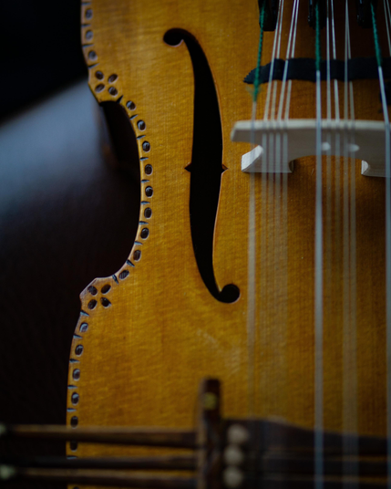 A close-up of one of the f-holes on the soundboard of a nyckelharpa. You see the distinct outline of the body and a traditional decorative pattern burnt next to the rim. In the corners, these form little flowers. On the right side you can see the bridge and a lot of strings (thick ones for melody playing, thin ones are sympathetic strings) going over it. The wood has a honey colour.