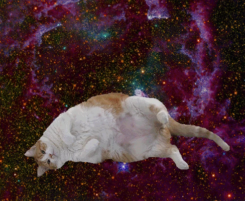 A large cat with white and orange fur lies on its back in a starry galaxy background, featuring colorful nebulae and stars. The scene gives the impression of the cat floating in space.