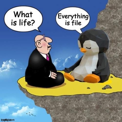 Meme referencing Linux: A man in a suit asks a stylized penguin (representing Linux) "What is life?". The penguin replies, "Everything is file," a core concept in Linux operating systems.