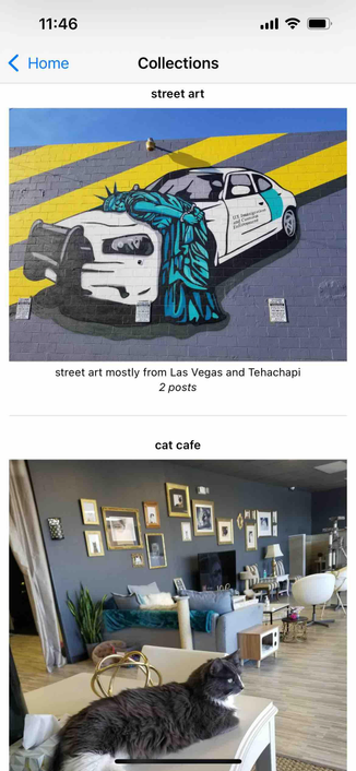collections list showing two collections, one for street art and one for cat cafes
