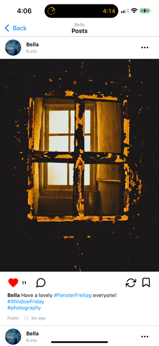 Screenshot of the new pixelfed profile feeds