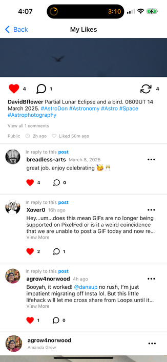Screenshot of the new pixelfed text only comment layout