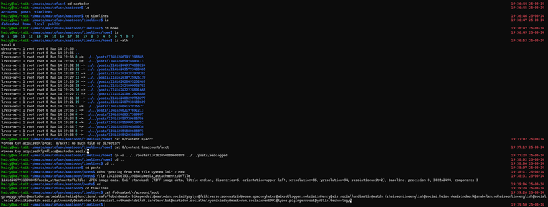 mastodon but it's a file system. various operations, such as viewing timeline, posts, media attachments are demonstrated