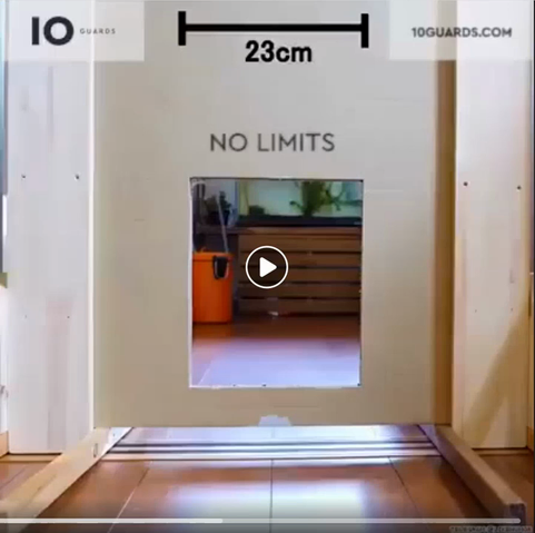 User vs IT security

Video: Cat hatches cat passage through ever smaller measurement.