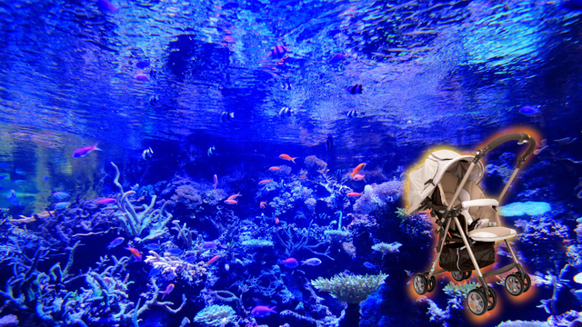 Baby stroller superimposed over a picture of a display inside an aquarium