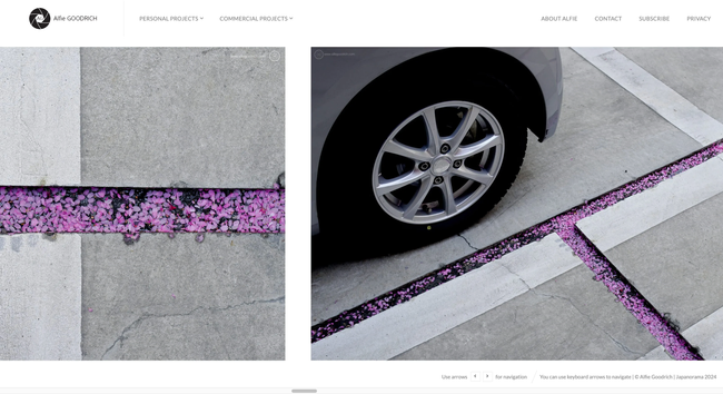 Screenshot of an article on my blog about the late flowering cherry blossoms in Nihonbashi, Tokyo. Shows a photo of fallen petals in drainage channels in a car park. 