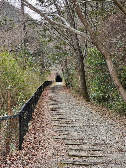 Gravel path lined with old wooden railroad sleepers leads through a forest of bare and sparse trees toward a dark tunnel in the distance.
