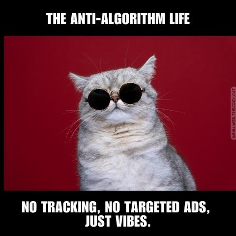 Monday Memes 4 | smallweb.thecozy.cat