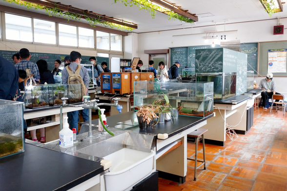 きんたい廃校博物館
八尾市
展示室