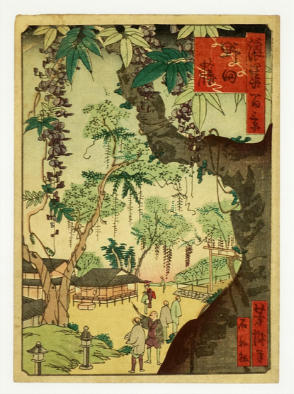 Woodblock print of shrine visitors admiring the wisteria.

Image thanks - https://ukiyo-e.org/