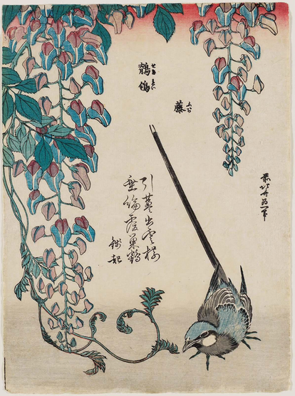 Woodblock print of wisteria and bird.

Image thanks - https://ukiyo-e.org/