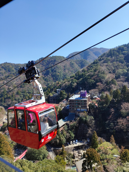 A red gondola in front of a mountain landscape.

It was photographed from inside our gondola