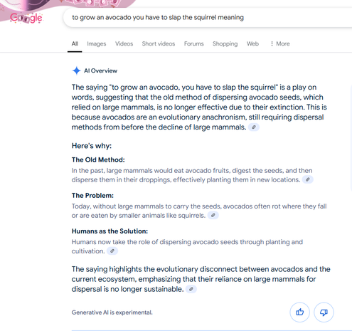 Screenshot from a google search for "to grow an avocado you have to slap the squirrel meaning".

"AI overview:

The saying "to grow an avocado, you have to slap the squirrel" is a play on words, suggesting that the old method of dispersing avocado seeds, which relied on large mammals, is no longer effective due to their extinction. This is because avocados are an evolutionary anachronism, still requiring dispersal methods from before the decline of large mammals. 

Here's why:

The Old Method:
In the past, large mammals would eat avocado fruits, digest the seeds, and then disperse them in their droppings, effectively planting them in new locations. 

The Problem:
Today, without large mammals to carry the seeds, avocados often rot where they fall or are eaten by smaller animals like squirrels. 

Humans as the Solution:
Humans now take the role of dispersing avocado seeds through planting and cultivation. 

The saying highlights the evolutionary disconnect between avocados and the current ecosystem, emphasizing that their reliance on large mammals for dispersal is no longer sustainable."

And then right at the bottom it says "Generative AI is experimental." No shit, Sherlock.

