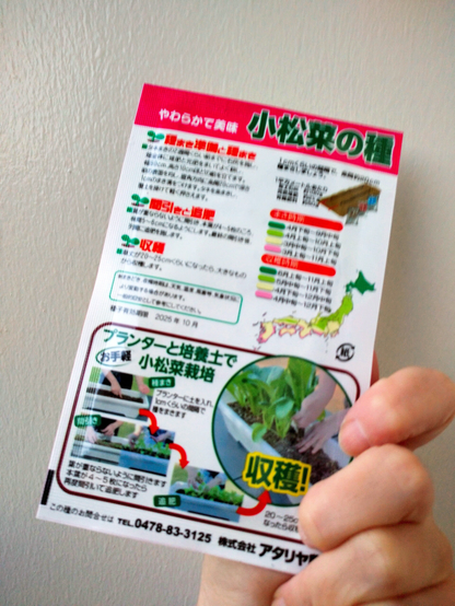 ホームセンターで貰った試供品小松菜の種
園芸用品の販促用らしい