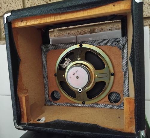 Photo of a small guitar practise amplifier case from the back.

The control panel, amplifier, battery and wiring are all gone. The speaker remains.