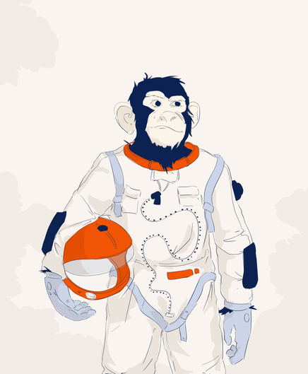 monkey in a space-suit