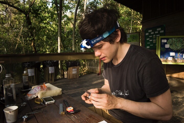 This is Jay Falk with a white-necked jacobin hummingbird in his hand in order to take morphological measurements. His is at a wood table outside in the tropical forest of Panama. There are scattered measuring tools on the table. Falk is wearing a headlamp while looking at the bird. Birds were captured and handled under proper permits in Panama and the United States.  