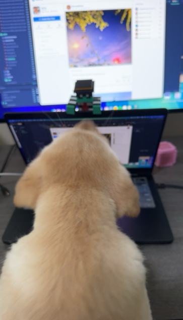 Jake the new Pixelfed intern 