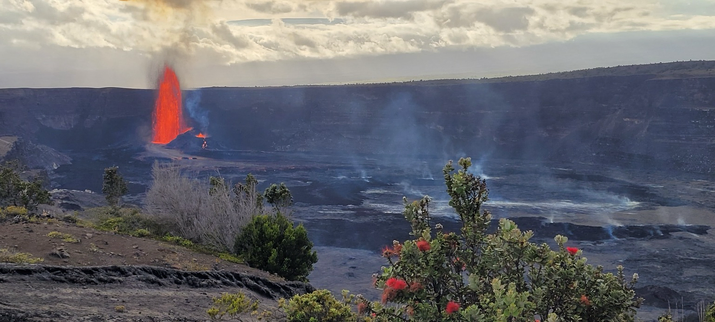 A landscape photo of a volcanic eruption with towering red lava shooting higher than the crater rim on the left side. In the foreground are lovely Lehua Ohia blossoms on the trees. In the center steam and smoke rises from the crater itself.
