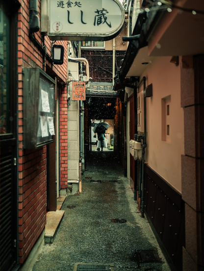 Exploring the Alleys in Japan