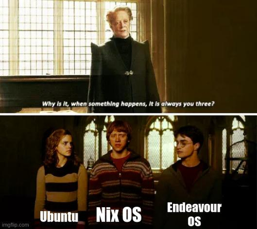 Professor Minerva McGonagall faces the "Harry Potter" series' protagonists (Hermione Granger, Ron Weasley, and Harry Potter), saying, "Why is it, when something happens, it is always you three?"

The three protagonists are labelled "Ubuntu", "Nix OS" and "Endeavor OS"