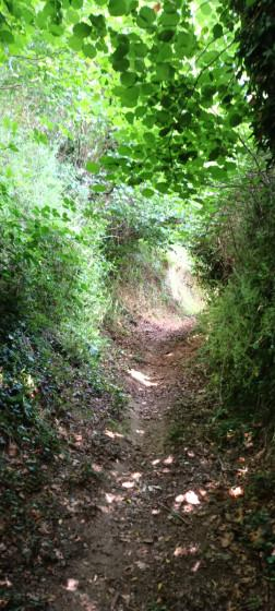 narrow path that connects the chapel of Loc'h and Le Guindy, in Pluzunet, Brittany.