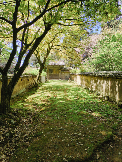 両脇に塀が立つ、苔むした道。
奥に木の扉が見える。