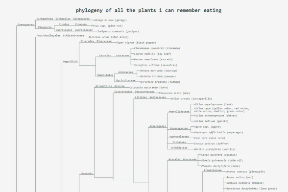 a webpage titled "phylogeny of all the plants i can remember eating" featuring the evolutionary tree of 100+ edible plant species. did you know that maple is closely related to citrus?