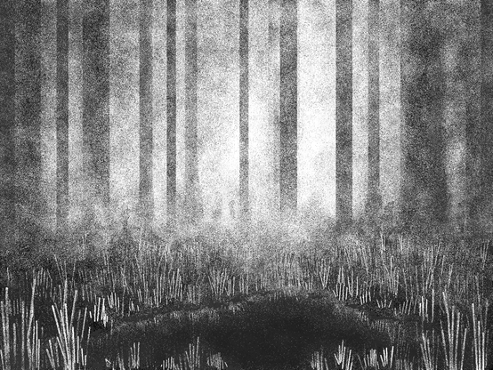 Digital drawing made with MsPaint depicting a forest and a pond with a mysterious atmosphere (black and white)

