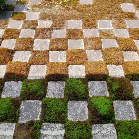 Tofuku-ji's famous checkerboard garden, made from squares of moss and stone.