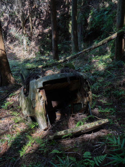 朽ち果てた軽自動車が天地を逆に沈んでいる。