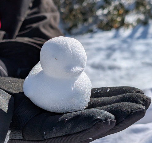 A small snow sculpture shaped like a duck sits in the palm of a black-gloved hand.
