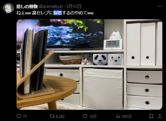 X post from @animalkyat: ねぇww 鼻セレブに擬態するのやめてww