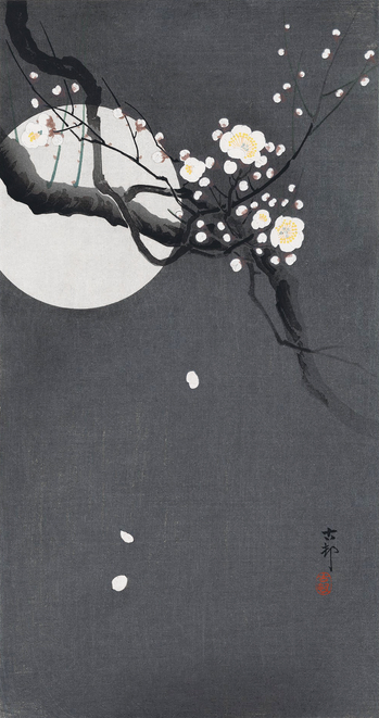 A bright full moon occupies a dark, starless night sky; in the foreground, a wiry plum brunch crosses the view, shedding pale blossoms.