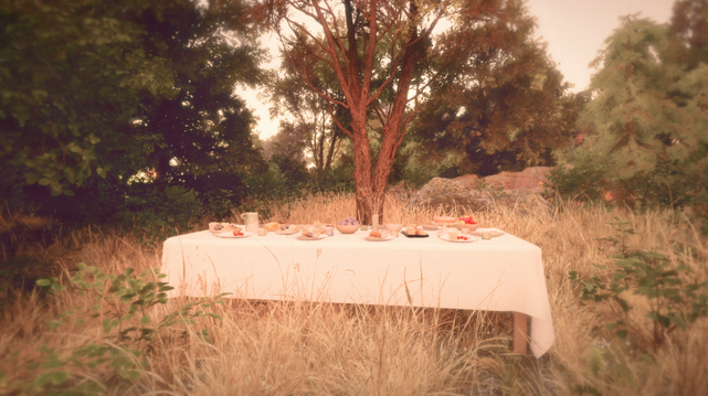 A dinner table with a white tablecloth, covered in various food. Standing in the middle of a small meadow in the woods. Warm summer evening.