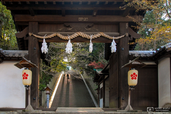 A woman is ascending the stairs to Shinonome Shrine in Matsuyama City on the southern Japanese island of Shikoku. The late-afternoon sun casts a long shadow on her silhouette.