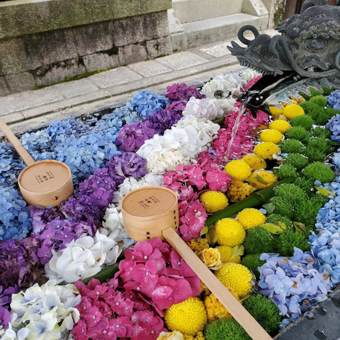 Flowers are used to decorate a wash basin at Yokoku-ji.